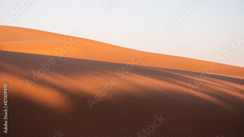 Bild auf Leinwand Sand and dunes in the Desert