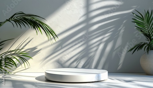 Minimalist White Platform With Palm Tree Shadow in Sunlight
