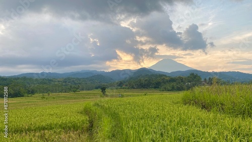 Beautiful landscape view of green rice field paddy under cloudy evening sky with sunset and Mount Sumbing, Indonesia  photo