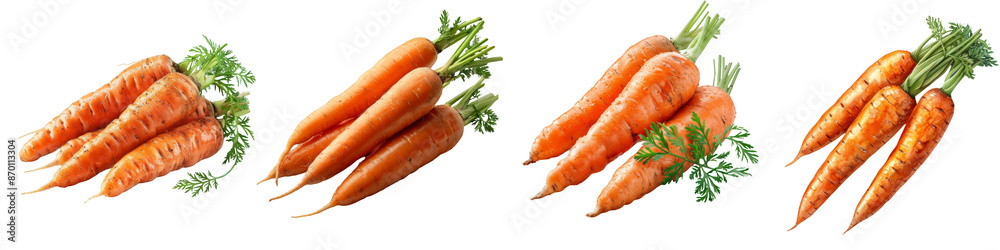 Carrot isolated on transparent background png Carrot isolated on transparent background png