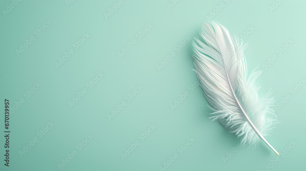 Obraz premium White feathers, copy space concept
