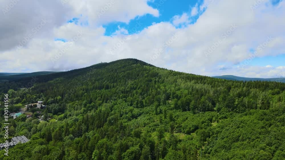 coniferous forest Germany view from a drone summer coniferous forest Germany view from a drone summer