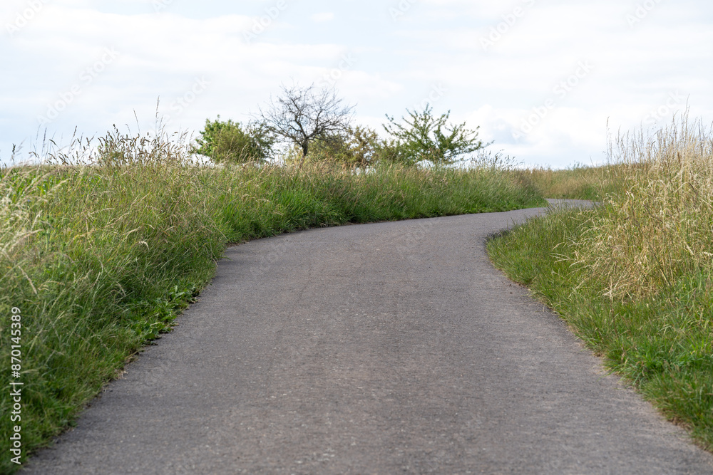 Footpath between grass and trees in the country Footpath between grass and trees in the country