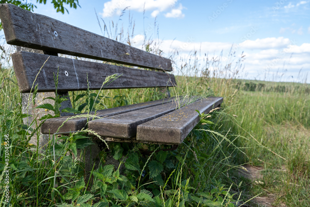 Fototapeta premium Wooden bench in the landscape