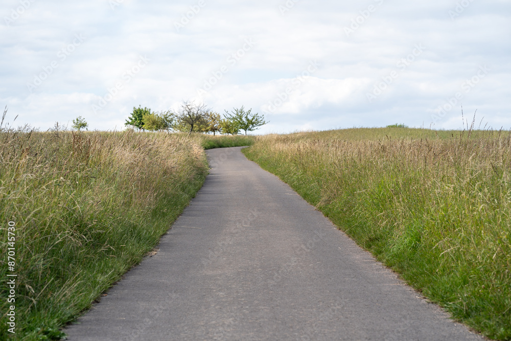 Footpath between grass in the landscape Footpath between grass in the landscape