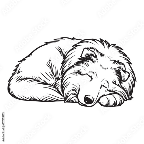 Line art of Collie dog cartoon sleeping vector