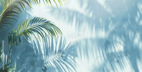 Abstract Palm Tree Shadow on White Wall with Blurred Dreamy Light Blue and Gray Background Summer Vacation Concept