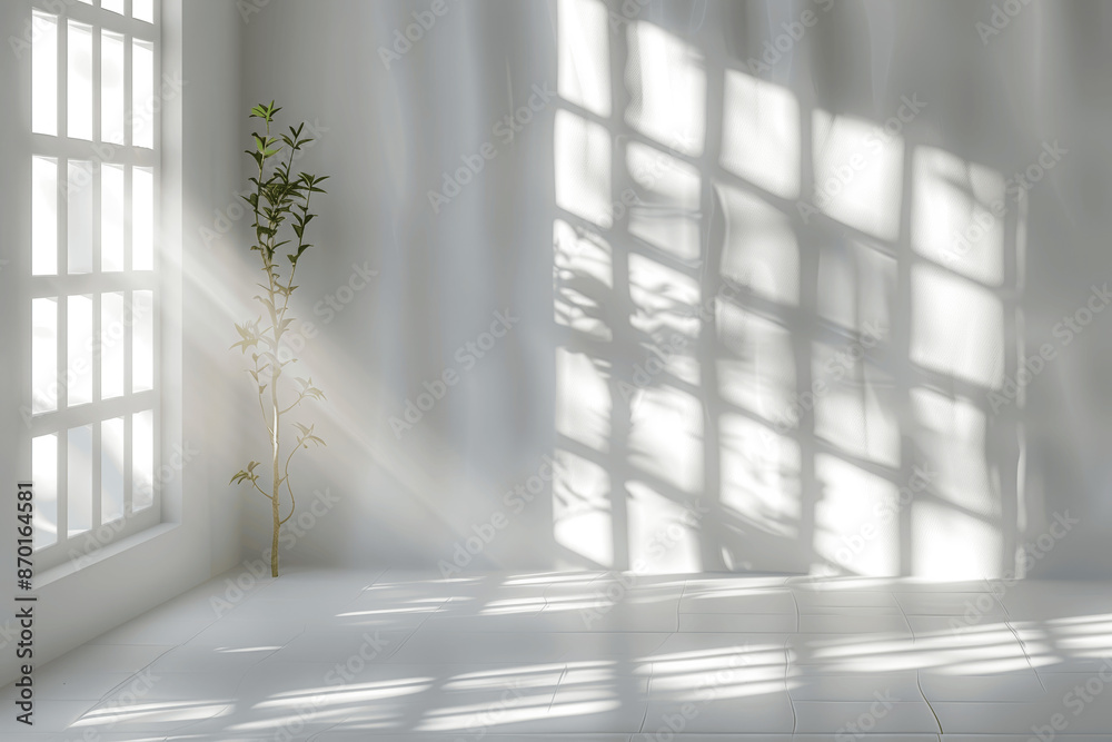 Abstract Sunlight Patterns Through Window Shadows on Wall High Resolution Abstract Sunlight Patterns Through Window Shadows on Wall High Resolution