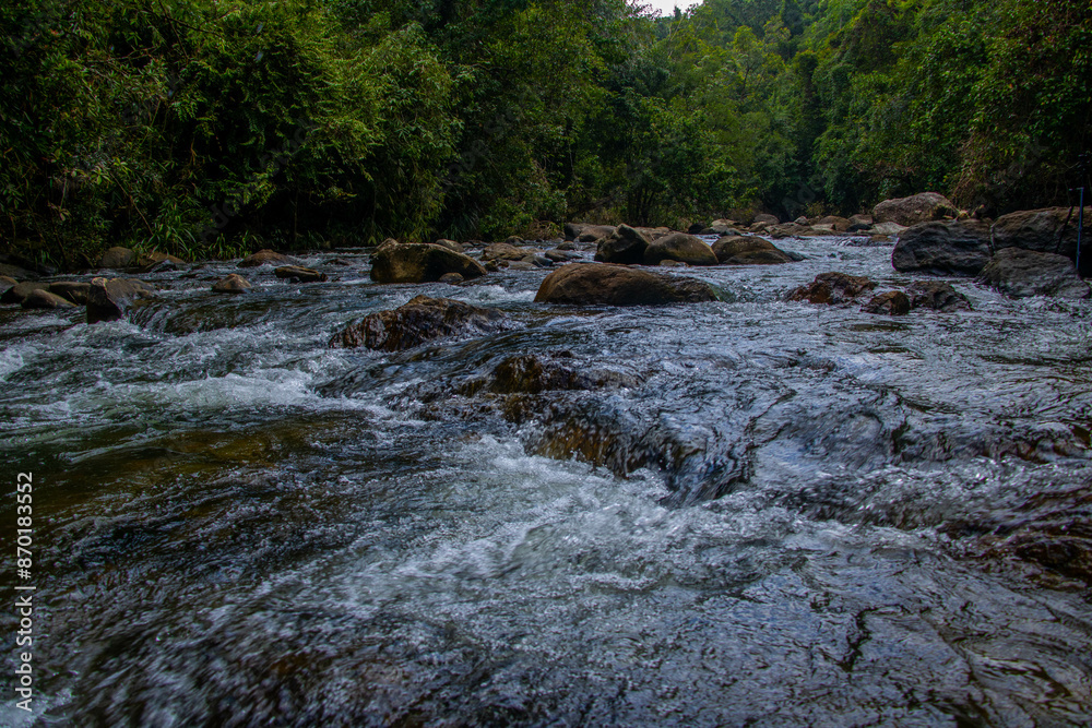 Fototapeta premium Natural palaceful river in the forest