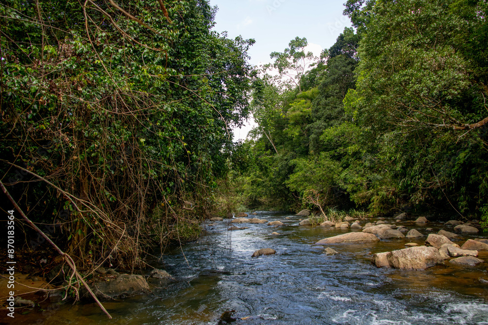Natural palaceful river in the forest Natural palaceful river in the forest