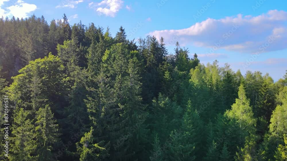 Summer Saastal Saas-Fee Switzerland aerial photography drone mountain larch forest coniferous top clouds Swiss Alps mountain peaks valley drone movement Summer Saastal Saas-Fee Switzerland aerial photography drone mountain larch forest coniferous top clouds Swiss Alps mountain peaks valley drone movement