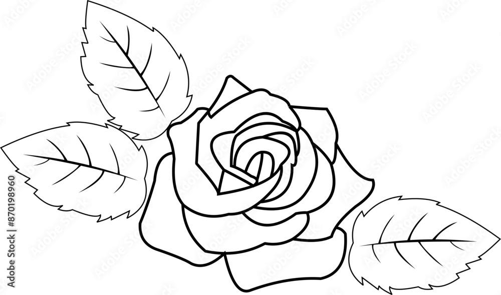 Rose Flower Outline Rose Flower Outline