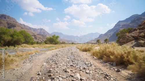 The dry riverbeds, or wadis, in the desert tell tales of ancient waters that once flowed through these arid lands.
