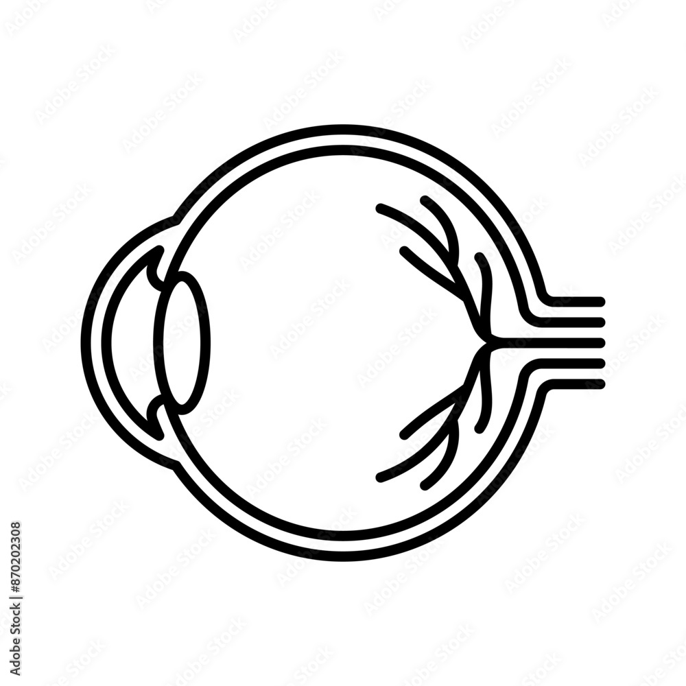 Vision. Line icon. Scheme of the eye liner illustration. The Concept of vision impairment, eye treatment. Linear illustration, editable stroke, thin line Vision. Line icon. Scheme of the eye liner illustration. The Concept of vision impairment, eye treatment. Linear illustration, editable stroke, thin line