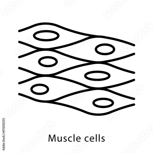 Muscle cells, line icon. Strength, anabolism, stretching, fiber, body, muscle symbol. Linear illustration, editable stroke, thin line.