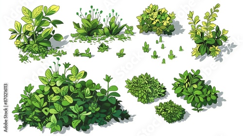 collection of green leaves, green background, green grass on white, A cartoon-style drawing of lush undergrowth, set of green leaves