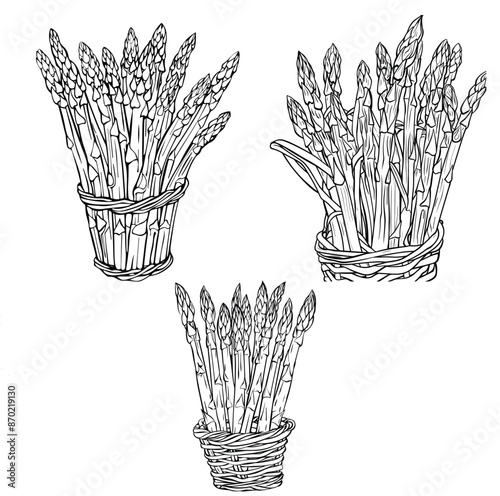 A bunch of wheat vector illustration