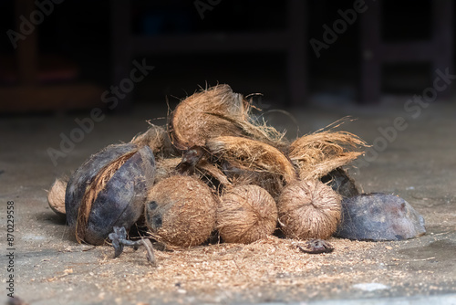 Dehusked coconuts and husks kept together. Coconut seeds after removing husk is kept along with the removed husks. photo