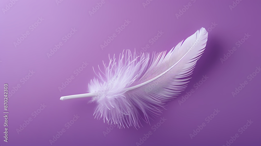 White feathers on purple background White feathers on purple background
