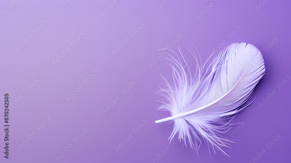 Obraz premium White feathers on purple background