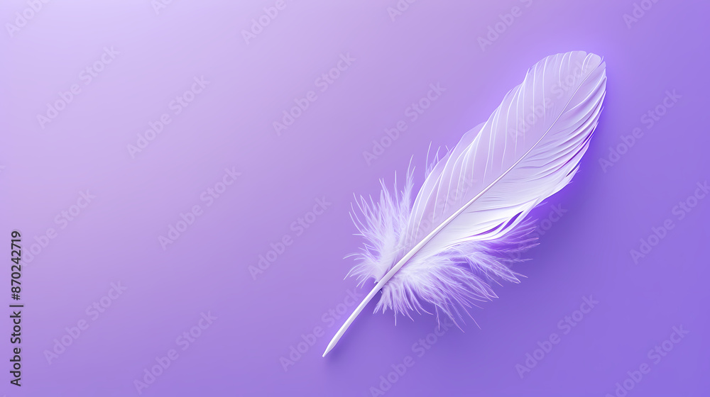 Obraz premium White feathers on purple background