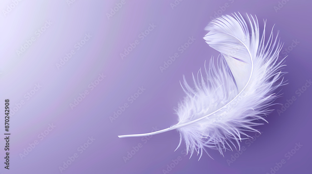 Obraz premium White feathers on purple background