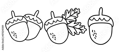 A set of Acorn icons. Cartoon Acorn