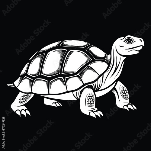 realistic image full body viewdesert tortoise