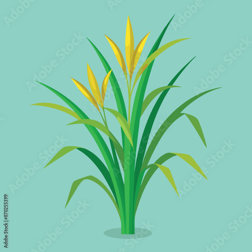 lemongrass