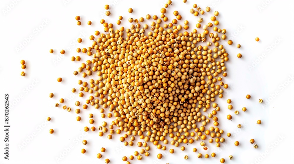 Amaranth seeds on white background, viewed from above. Amaranth seeds on white background, viewed from above.