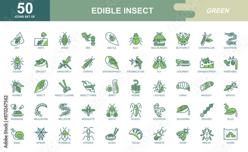 Insects icon set