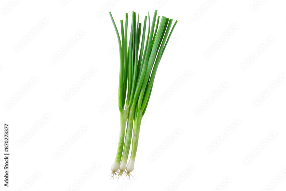 Green spring onion isolated on transparent background Green spring onion isolated on transparent background