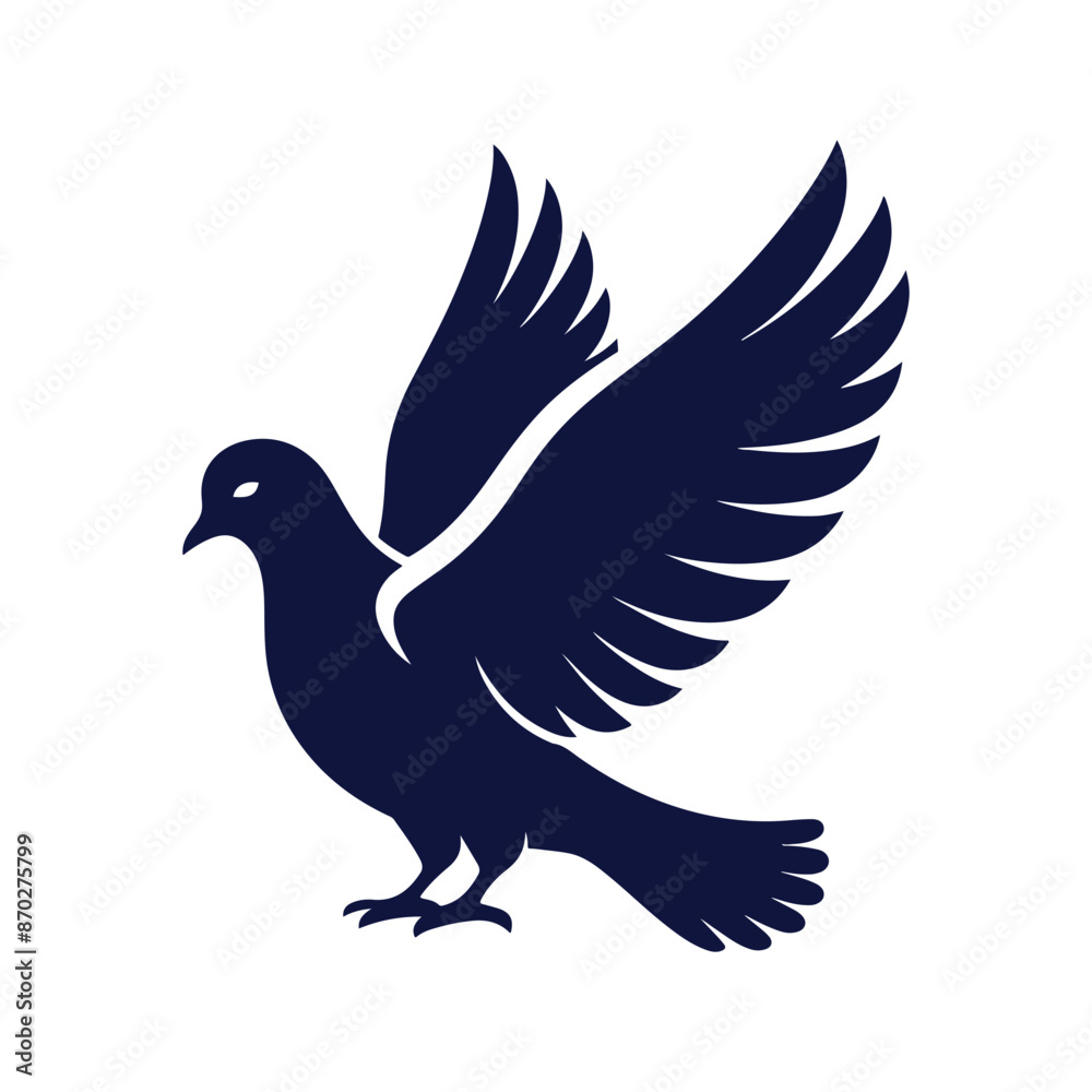 dove isolated on white dove isolated on white