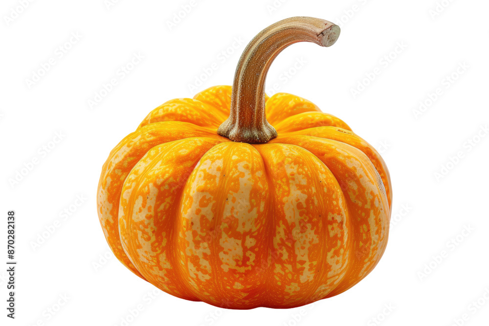 Obraz premium Mini pumpkin isolated on transparent background