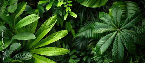 Scenic green leaves on a ve...