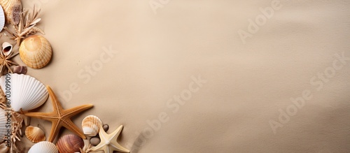 Seashell, starfish, and sna...