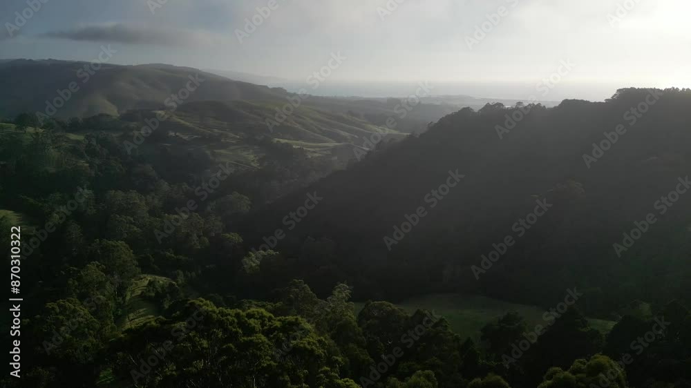 Aerial rising shot of idyllic Otway Park with dense forest and green mountains during cloudy day. Wide shot.