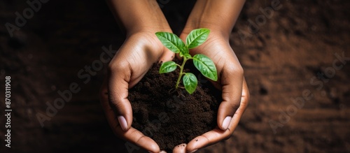 Top view of a woman's hands...