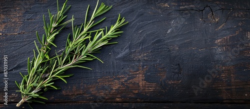 A sprig of fresh rosemary d...