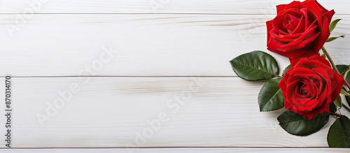 Red rose displayed on a whi...