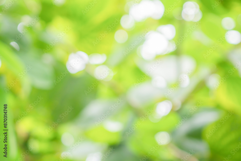Abstract blur green leaf bokeh nature background Abstract blur green leaf bokeh nature background