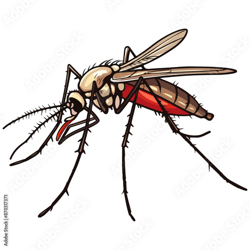 illustration of a mosquito