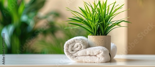 A neat bath towel and a gre...