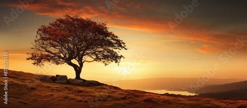 Sunset scene on a hillside ...