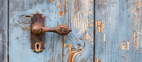 Metal door handle on the wo...