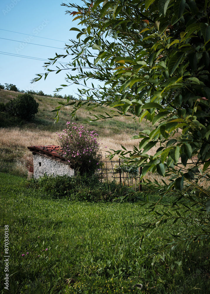 Foto scattata ad un vecchio ricovero attrezzi situato nella strada che collega Ovada a Cremolino.
