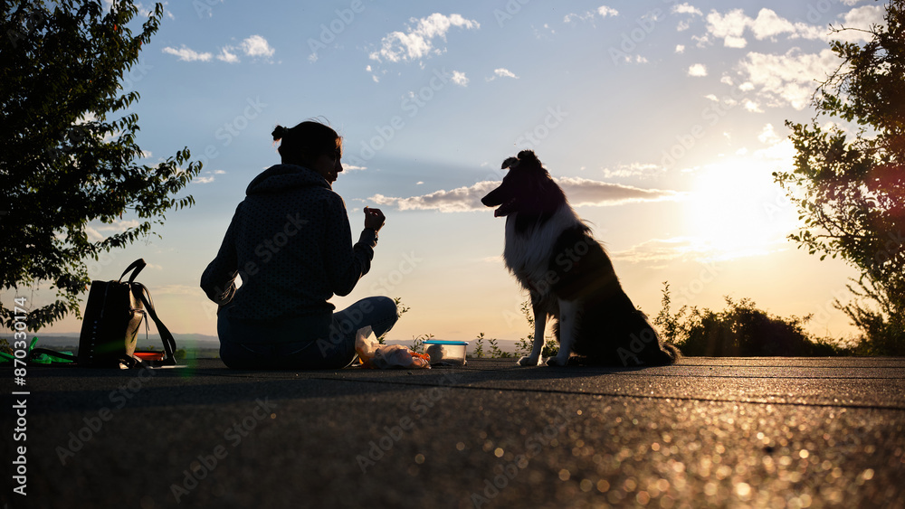 Foto scattata nelle colline di Tassarolo ad un cucciolo di border collie e ai suoi padroni.