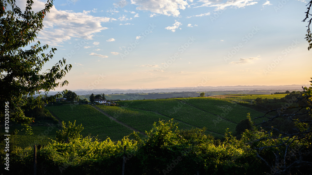 Foto scattata nelle colline attorno Tassarolo.