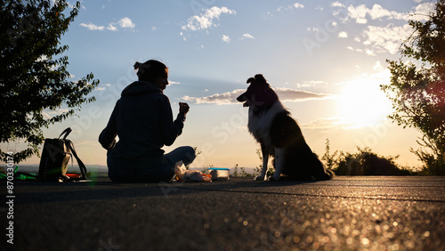 Obraz na płótnie Foto scattata nelle colline di Tassarolo ad un cucciolo di border collie e ai suoi padroni. w salonie