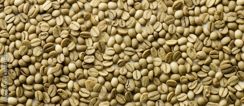 A detailed close-up of unro...